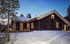 Pet Friendly Home In Hemsedal With Sauna